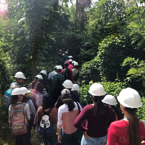 AgroScience Summer Camp at UPRM