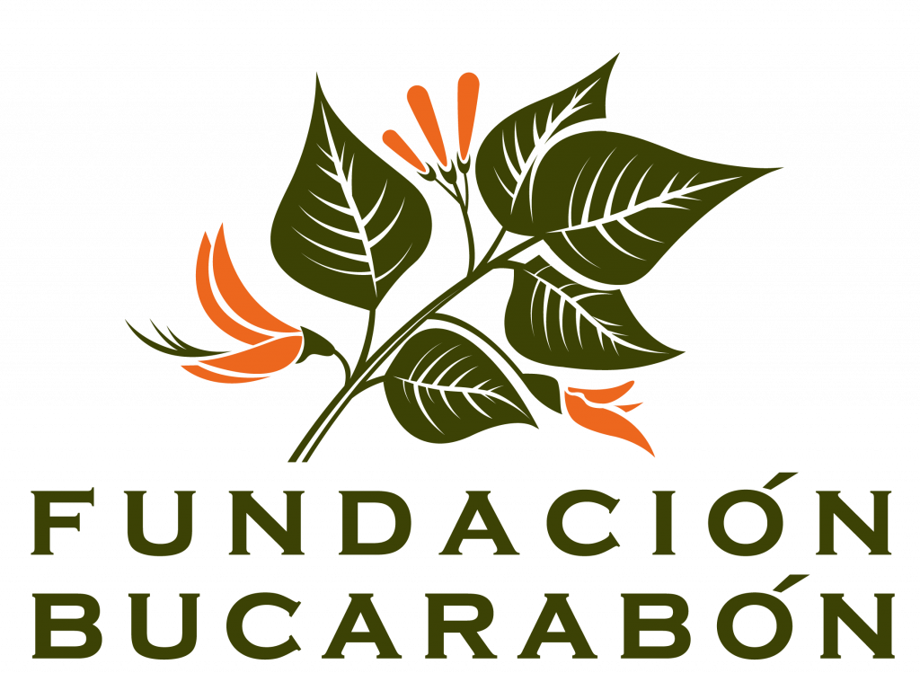Fundacion Bucarabon Dirección física: Carr 105 Km 38.6 interior Bo. Bucarabones Maricao P.R. 00606 Email: CONTACT@FUNDACIONBUCARABON.ORG Teléfono: 939-299-4166 Nombre de la o las personas contactos: Jacqueline Perez Torres