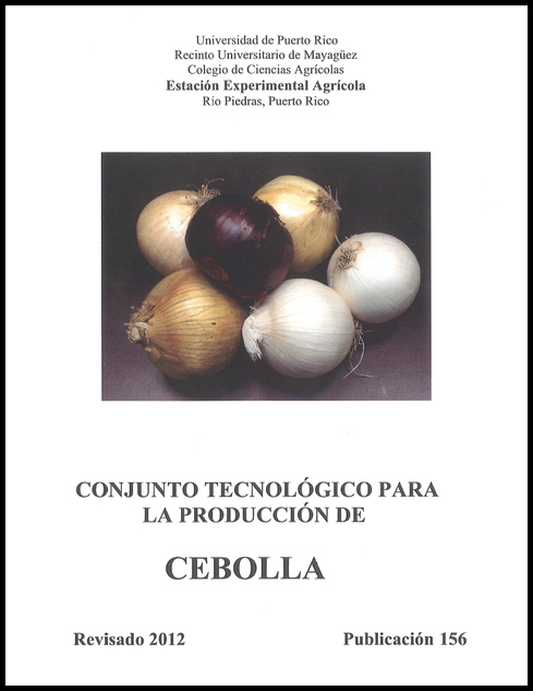 Cebolla