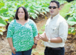 manos a la agricultura