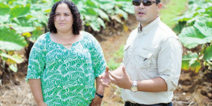 manos a la agricultura