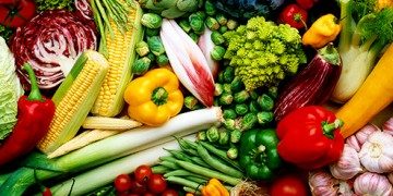 hortalizas hortalizas