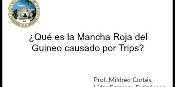 que-es-la-mancha-roja