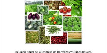 2017 REUNION DE LA EMPRESA HORTALIZAS Y GRANOS BÁSICOS