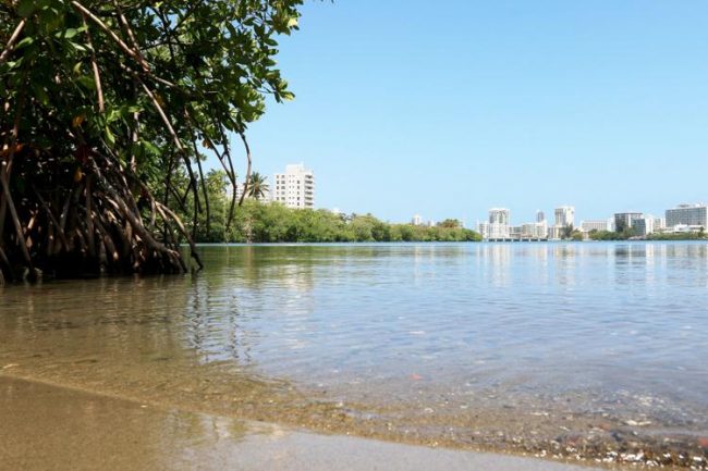 calidad de Agua calidad de Agua