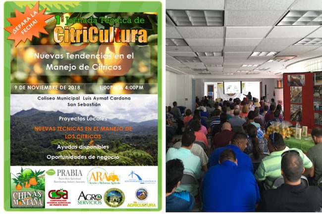 citrucultura citrucultura