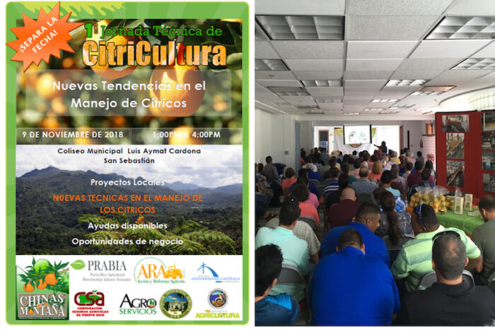 citrucultura citrucultura