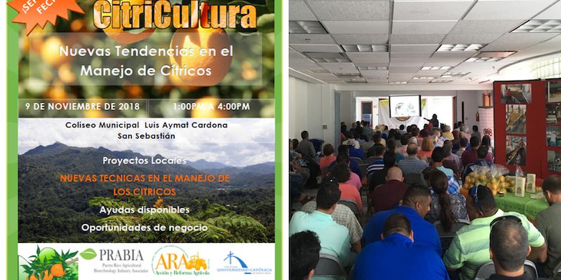 citrucultura citrucultura