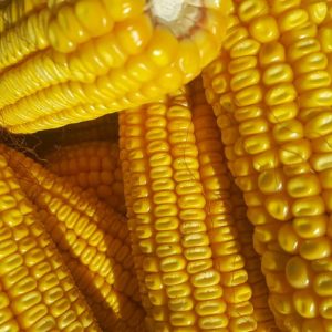 image9 image9