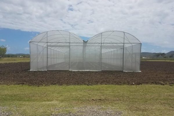 image5 image5