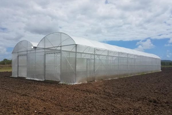 image8 image8
