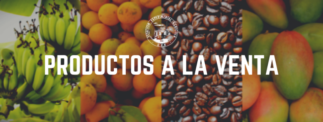 Venta de productos