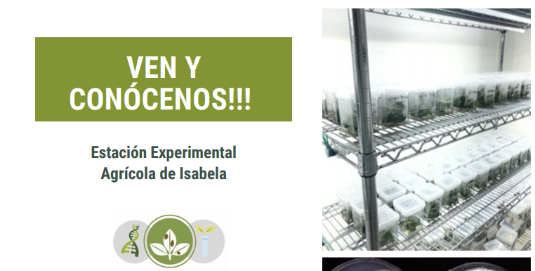Ven y Conocenos - Laboratorio de Biotecnología y Patología Vegetal