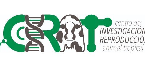 1003BE88-48EC-42DB-9686-19F7D5A66056