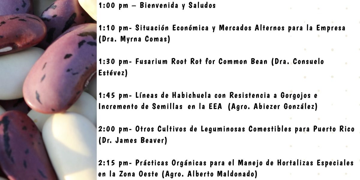 Reunion de la Empresa de Hortalizas y Granos 2021_afiche