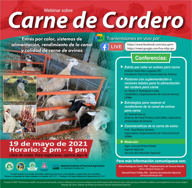 AFICHE_FINAL_Webinar carne de cordero_revfin