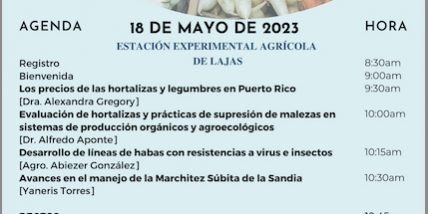 Reunion Hortalizas y Granos 2023