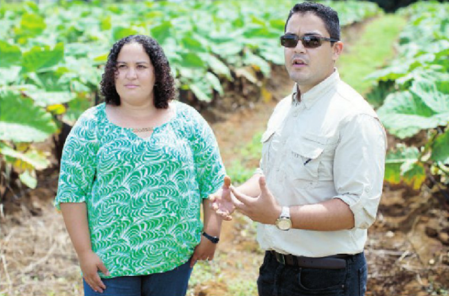 manos a la agricultura
