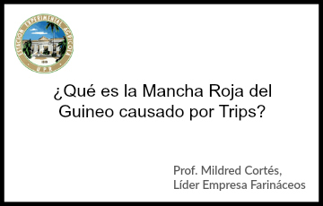 que-es-la-mancha-roja