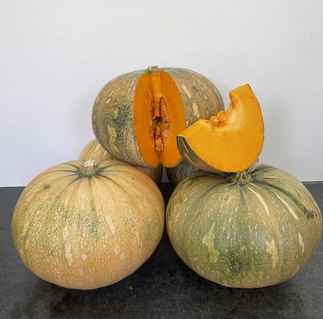 Calabaza - Taína Dorada - Image 2