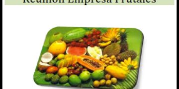 Reunión Empresa Frutales