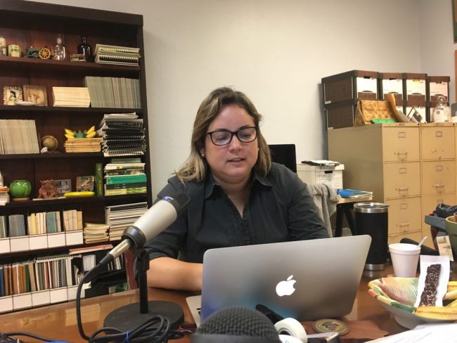 Modelos de Presupuestos Agrícolas