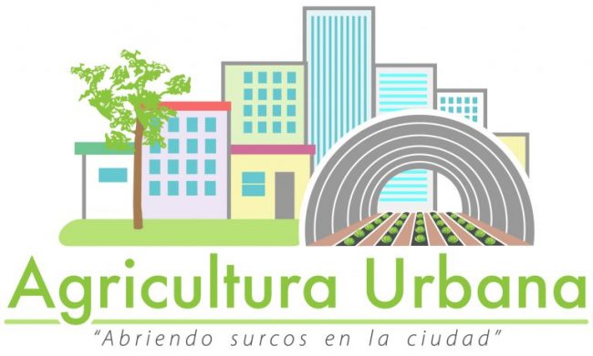 Logo-PAU-NUEVO_5-02-2-768×462