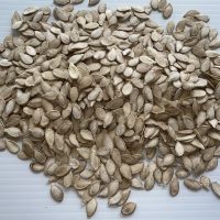 Calabaza - Soler