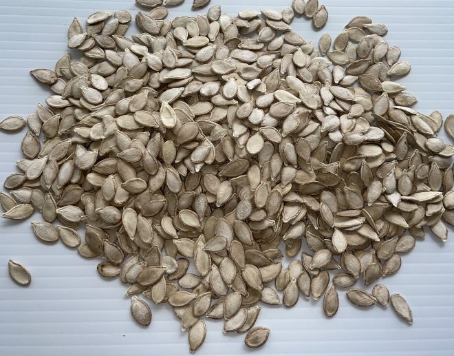 Calabaza - Taína Dorada