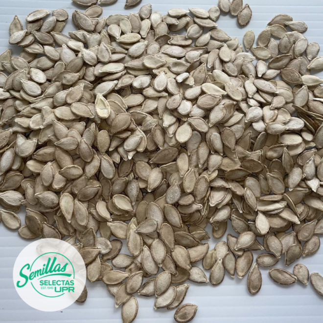 Calabaza - Soler