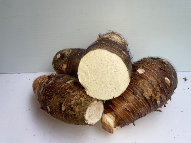 Malanga Lila (Semillas/Cormelos) - EEA Juana Diaz - Image 4