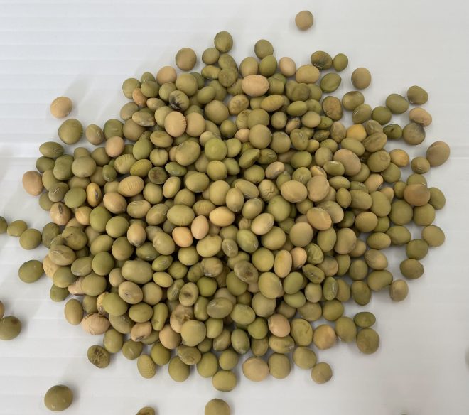 Edamame - Butler