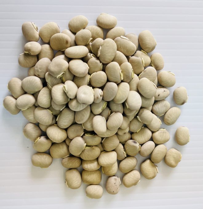 Mucuna Tropical