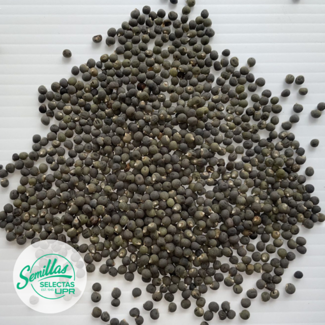 Quimbombo /Okra (Verde) - Clemson Spinless