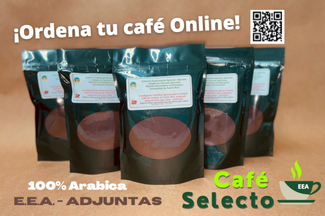 Café Selecto (Harina) - EEA Adjuntas