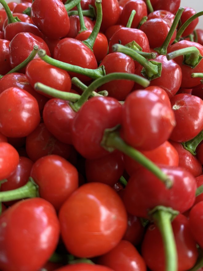 Aji dulce - Sabrosito - Image 2