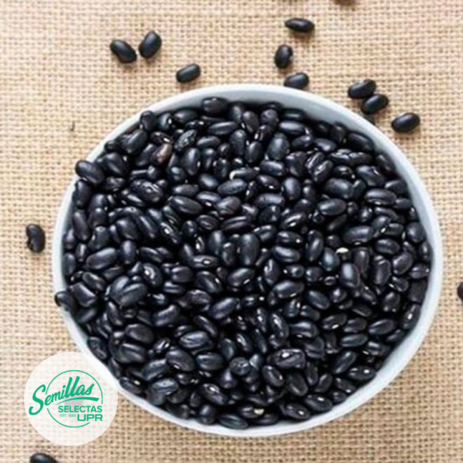 Habichuelas Negras