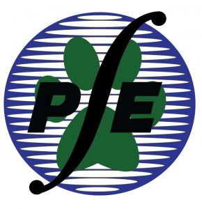 NSPE-UPRM Logo