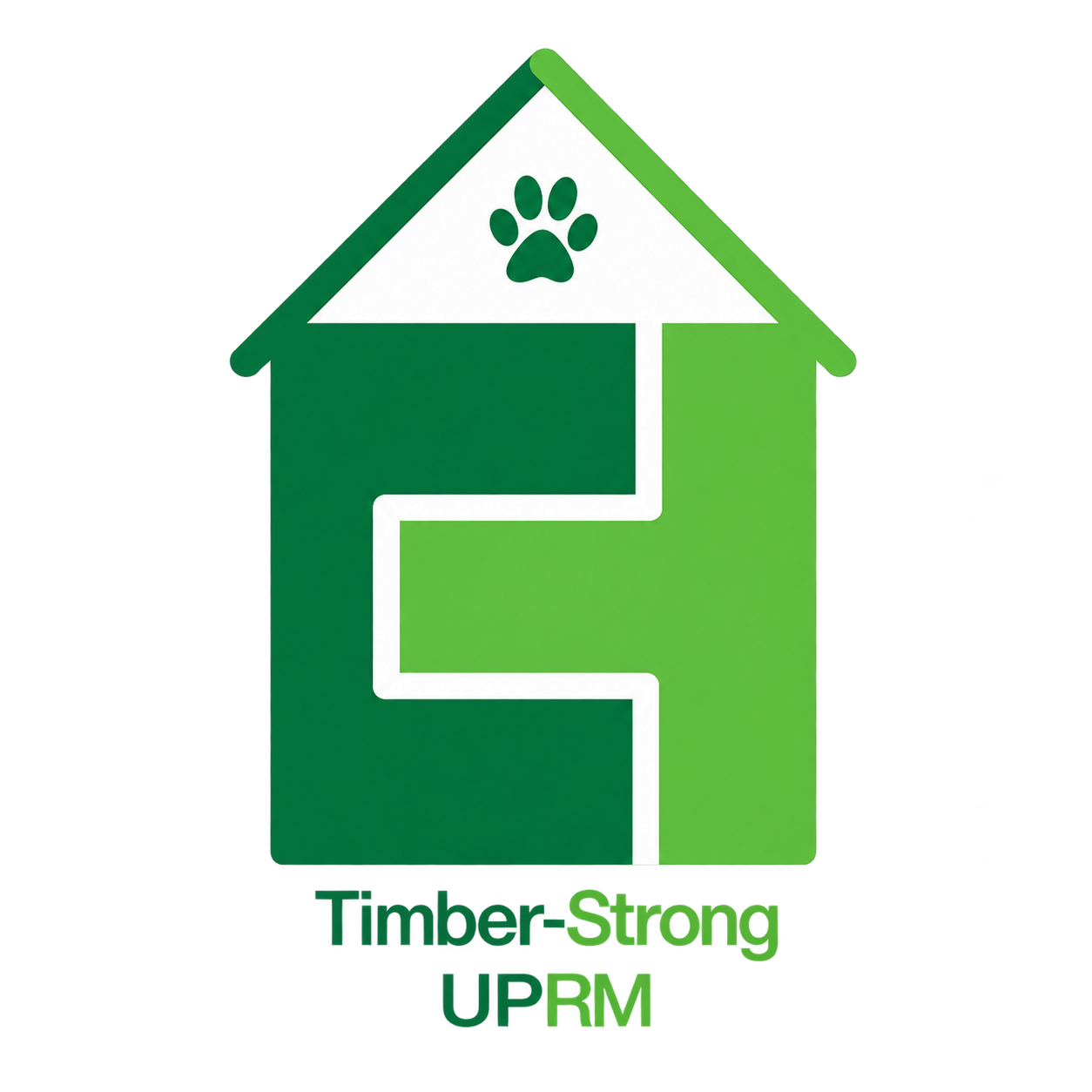 UPRM Timber-Strong Design Build Team