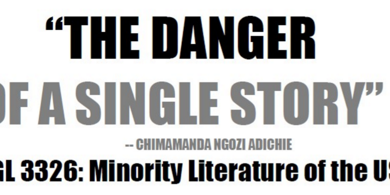 Minority Literature Promo Image used for the promotion of the course Minority Literature in the US.