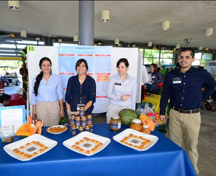 Alimentos para crear nuevos negocios