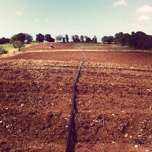 988899_732908703495505_7687159139556019258_n