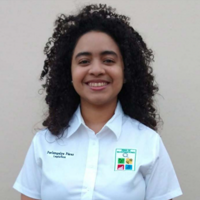 Screen Shot 2021-03-09 at 4.08.37 PM