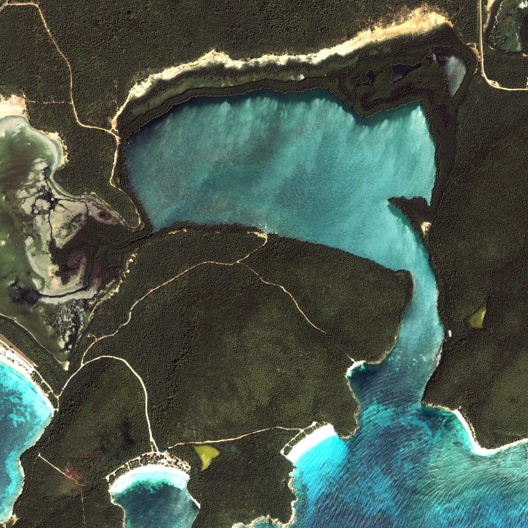 bahia_vieques
