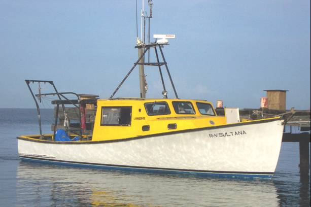 sultana