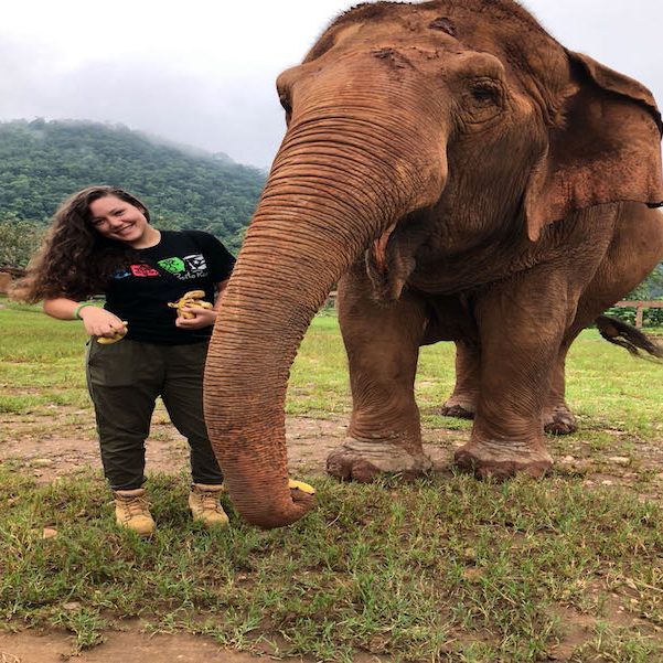 Alexandra-Justiniano-1 La colegial se encargó de vigilar la dieta y el comportamiento del elefante a su cargo. Suministrada