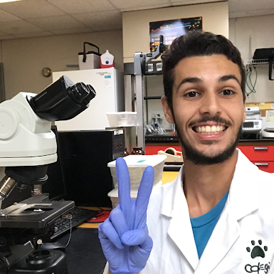 Proyecto Panapén Imágen de Proyecto Panapén