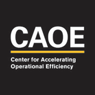 CAOE Summer Experience 2022