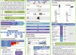 Design of an Ergonomic Tool for People with Upper Limb Prosthesis (Poster)