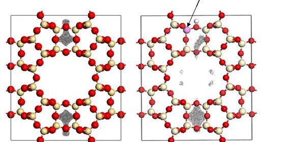 Effect of Al in the Positioning of Guest Metal Atoms in Zeolites
